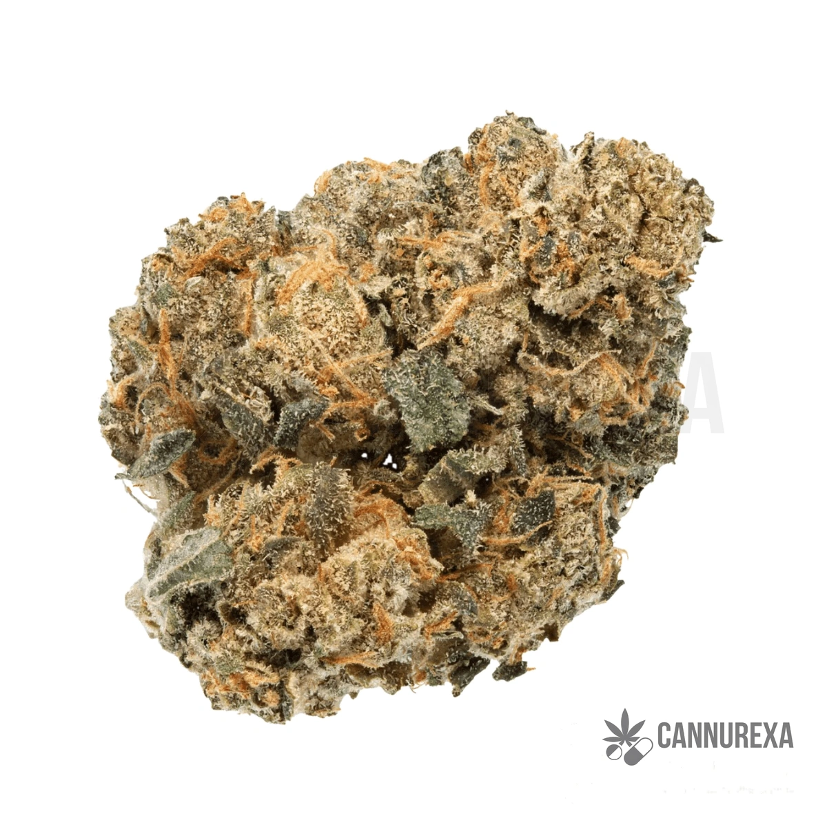 Canify Cannabis 22/1 CZE Acai Berry