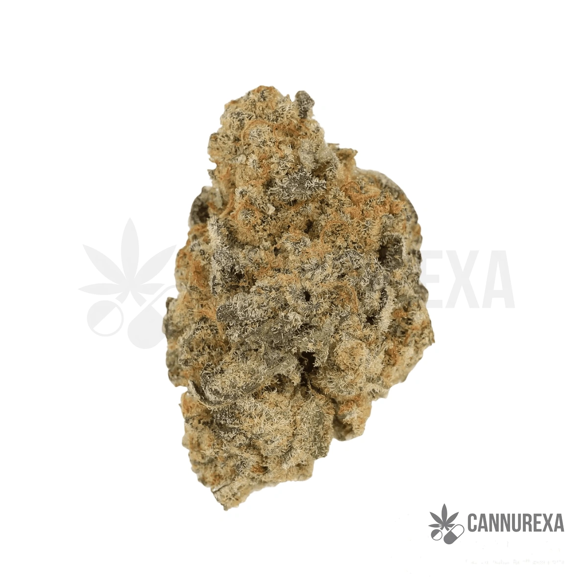 Cannamedical Indica Forte BC Banana Cream Cake