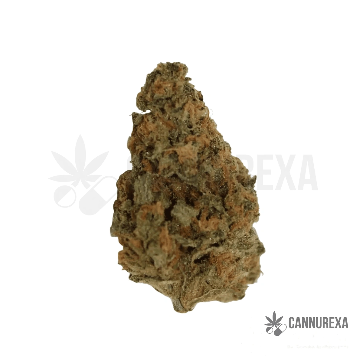 Cannamedical Sativa forte Super Lemon Haze