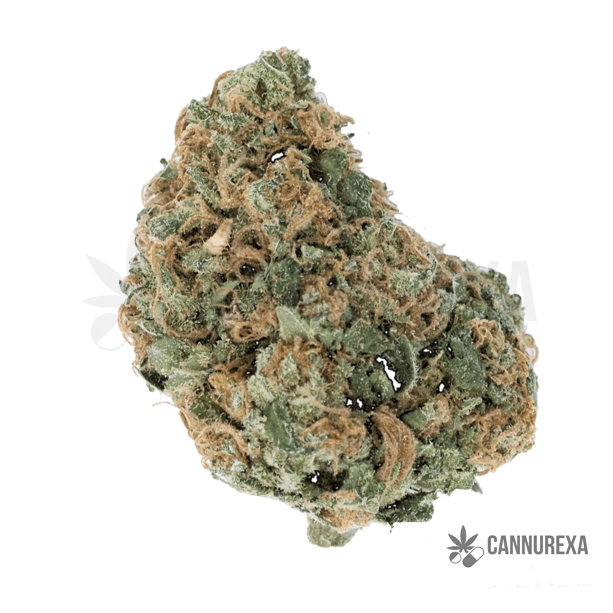 Wellford Aquaponic 29/1 COP Critical Orange Punch