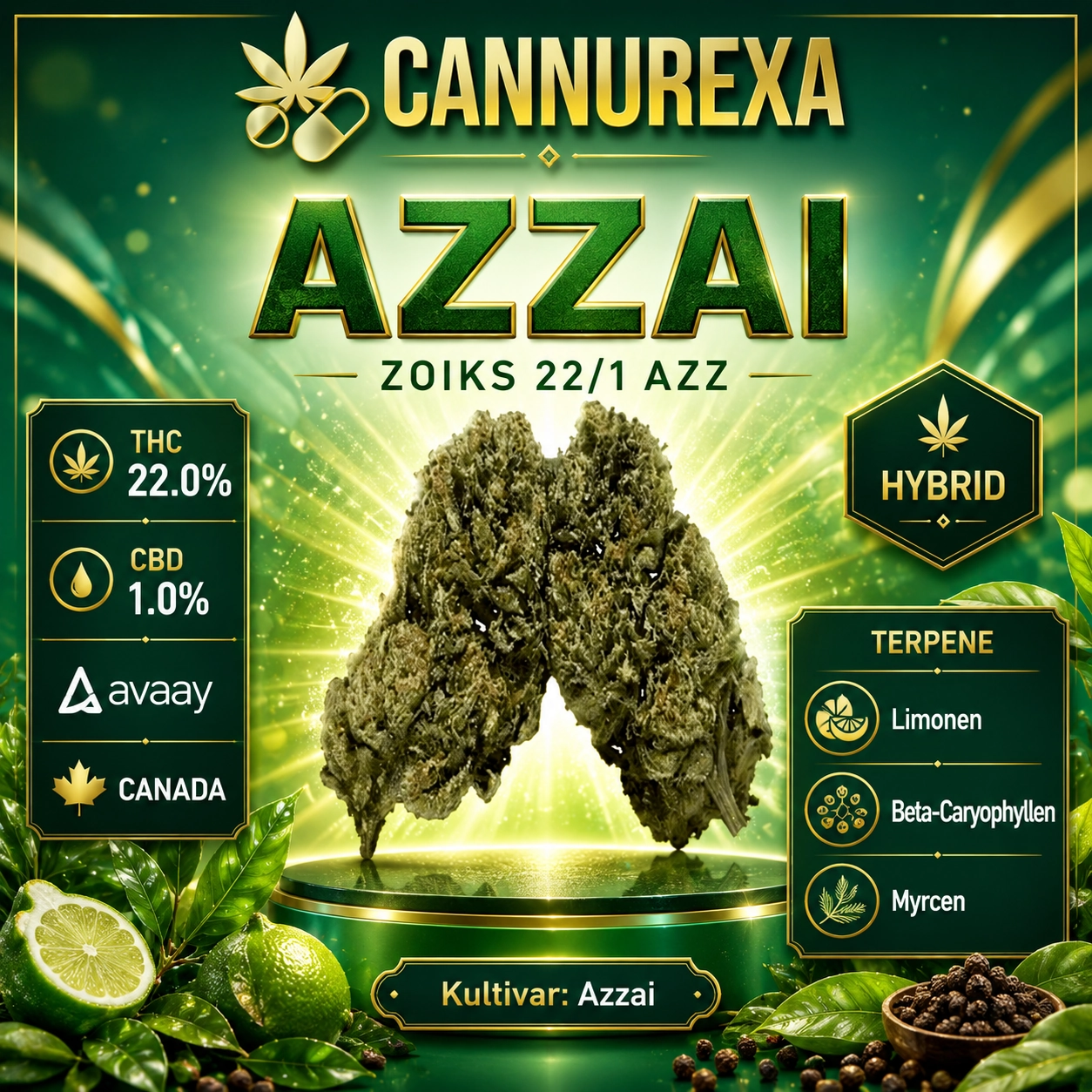ZOIKS 22/1 AZZ Azzai