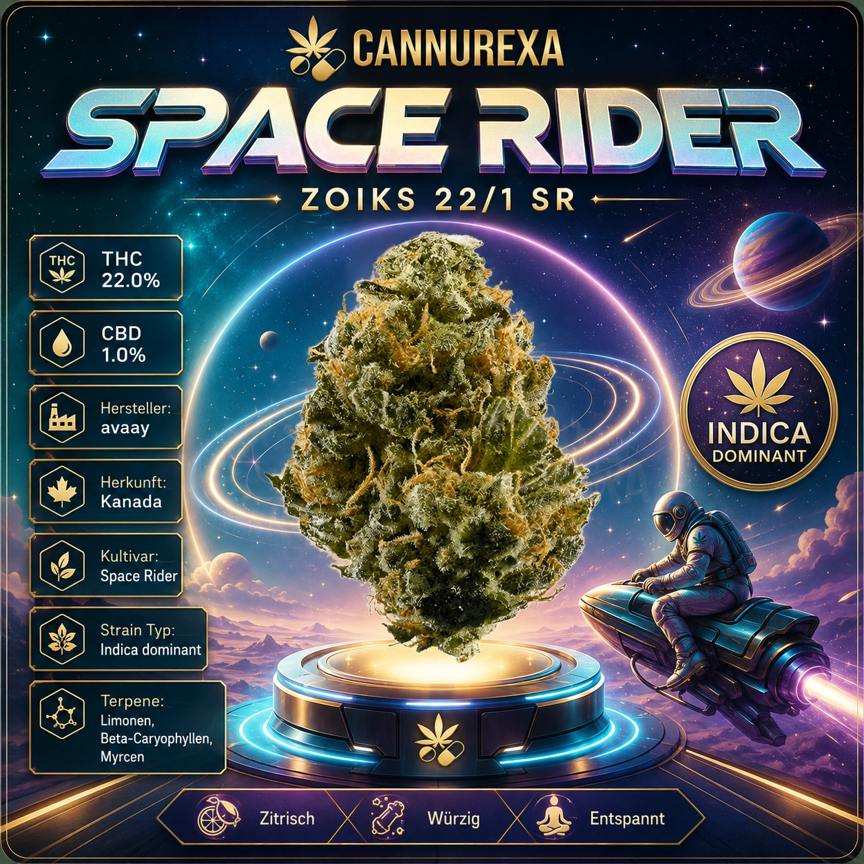 ZOIKS 22/1 SR Space Rider