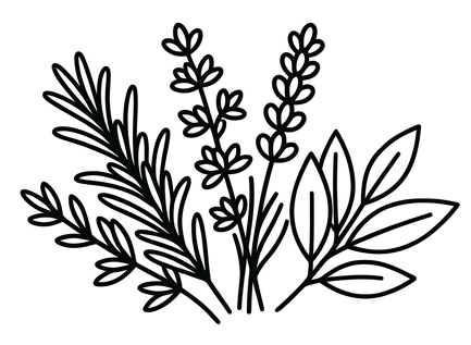 Kräuter